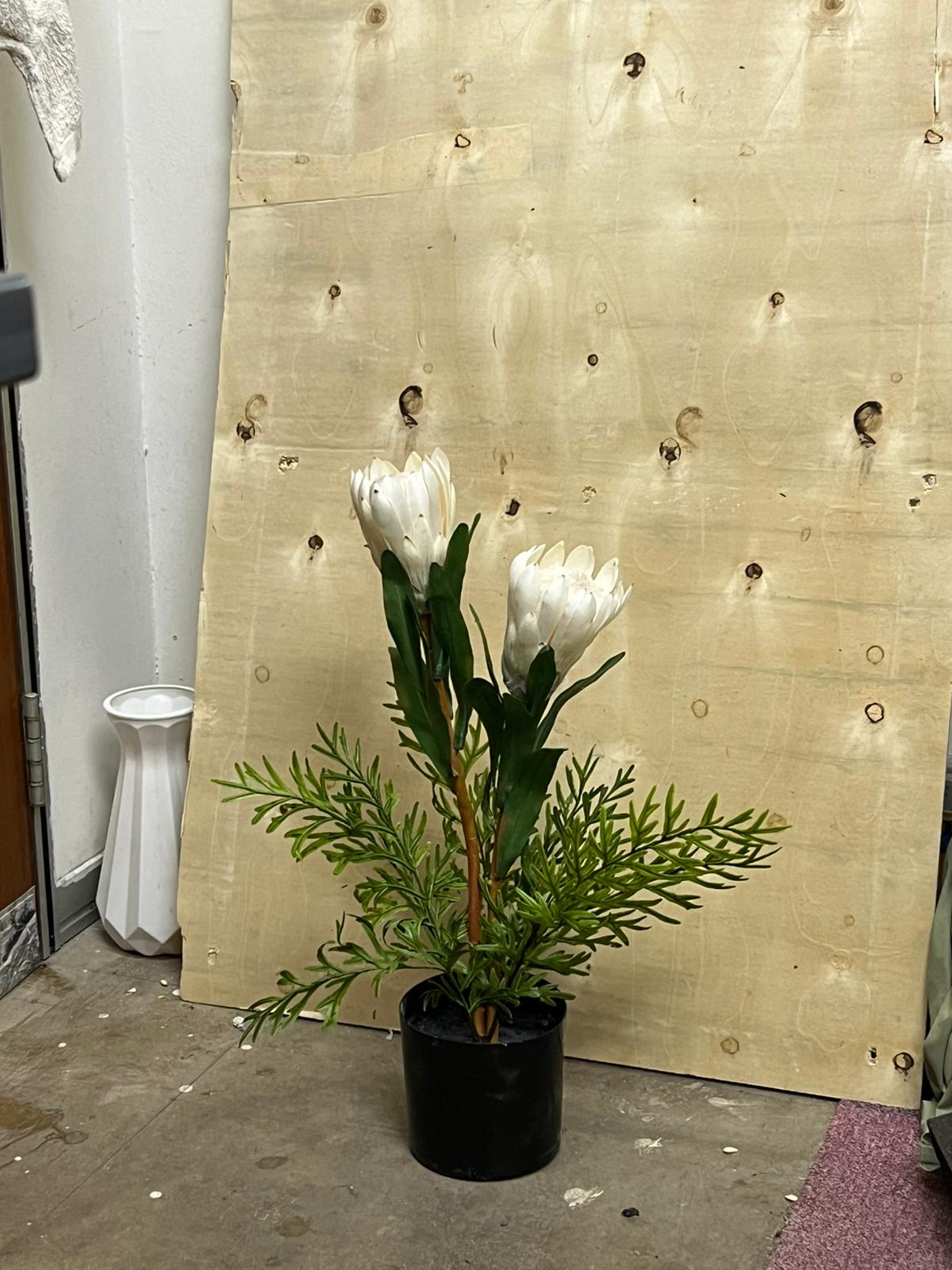 50cm Plant Artificial, Faux Plants, Home Decor, events, gardens, Potted Plants, Protea Plant Aplant1202