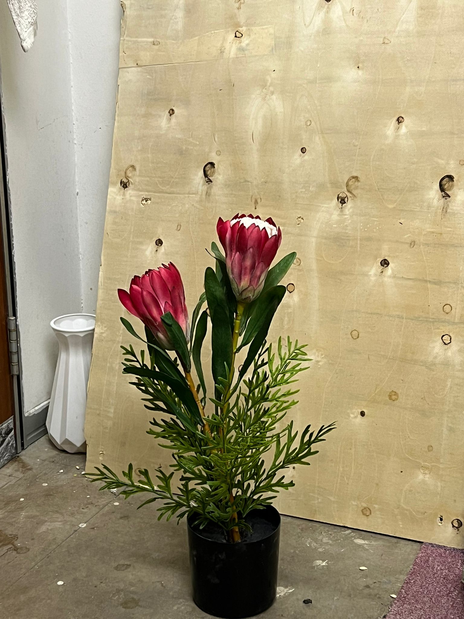 50cm Plant Artificial, Faux Plants, Home Decor, events, gardens, Potted Plants, Protea Plant Aplant1202