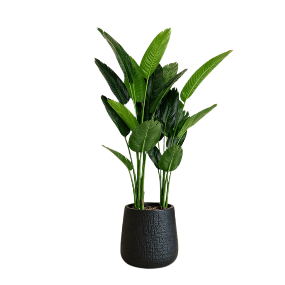 125cm tall artificial traveller's palm tree inside a textured black planter pot for living room decor