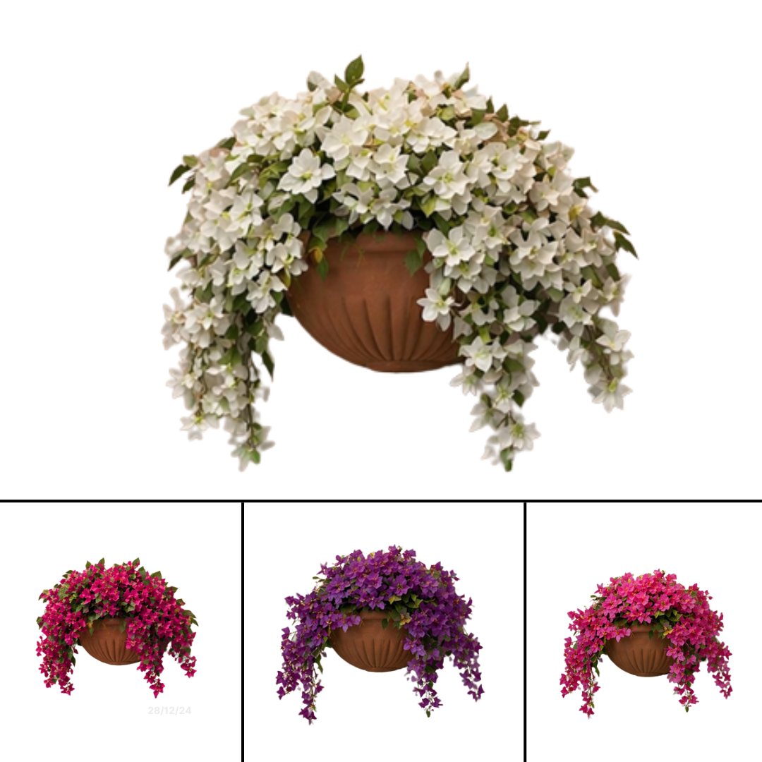 40cm Cascading Bougainvillea Wall Plant in Wall Pot – Lifelike & Vibrant Aplant1244-1-Wh