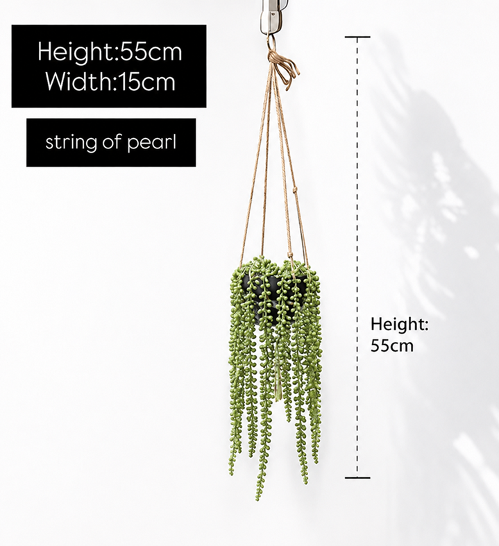 String of Pearl Hanging Plant with Pot