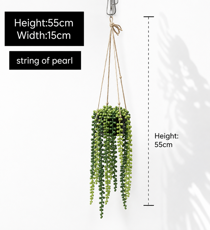 String of Pearl Hanging Plant with Pot