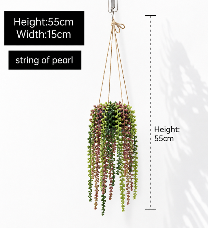 String of Pearl Hanging Plant with Pot