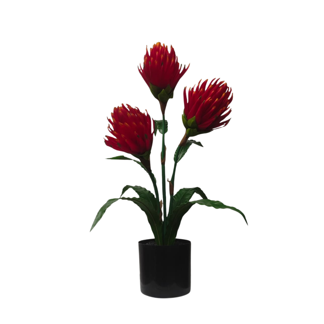 70cm Artificial Protea Plant | Medium Size Plant | Faux Plants for Home & Office Decor Events Aplant1273