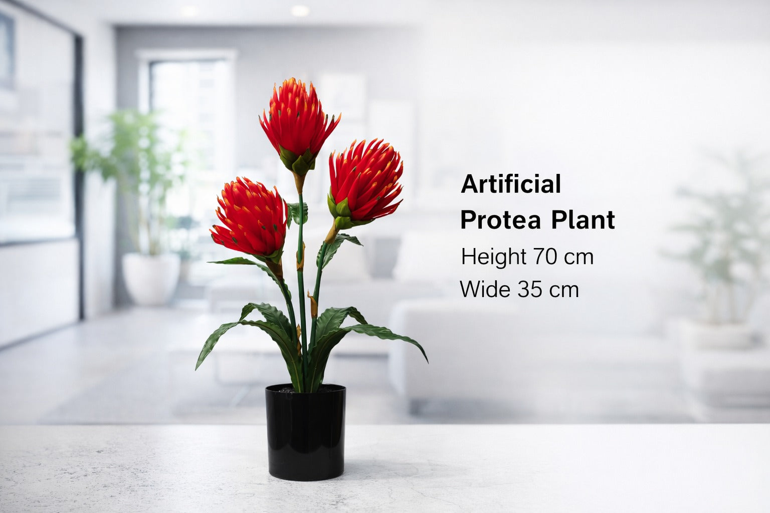 70cm Artificial Protea Plant | Medium Size Plant | Faux Plants for Home & Office Decor Events Aplant1273