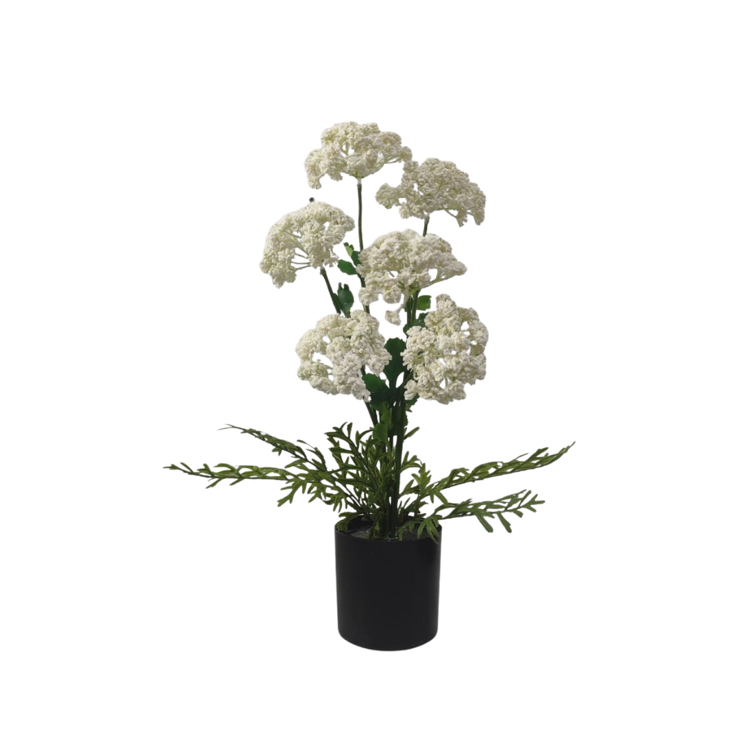 60cm Artificial Plant Queen Anne Lace | Medium Size Faux Plants | Medium Size Artificial Plant | Faux Plant for home office decor Aplant1274-1-Wh