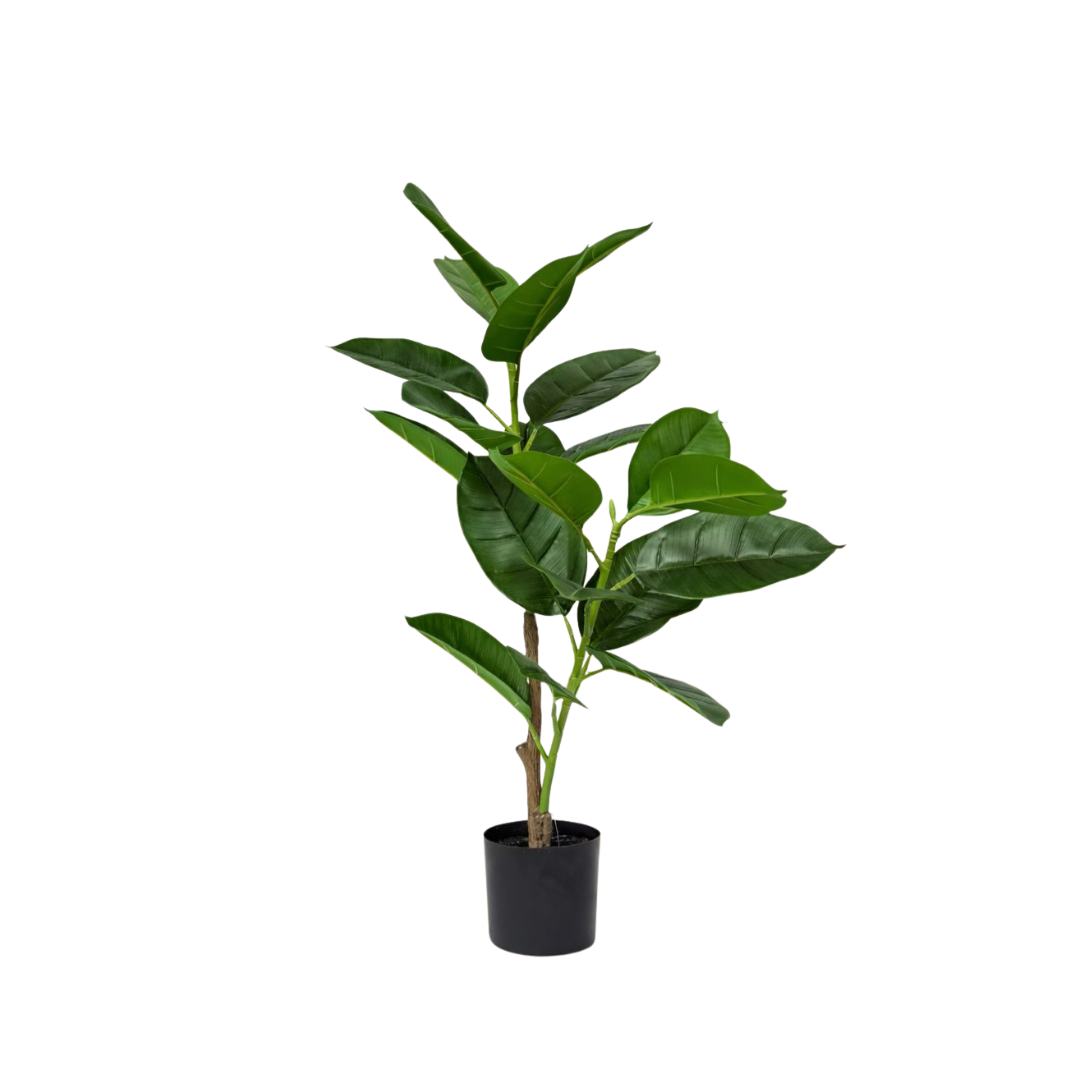 80cm Artificial Rubber Plant with Black Pot | Realistic Indoor Decorative Plant Aplant1293-1