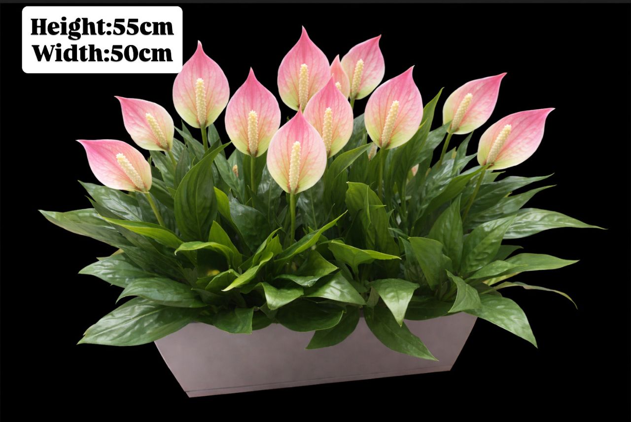 Artificial 55cm Peace Lily bush in rectangular pot, ideal for home decor, garden, or events, by Alton Flowers.