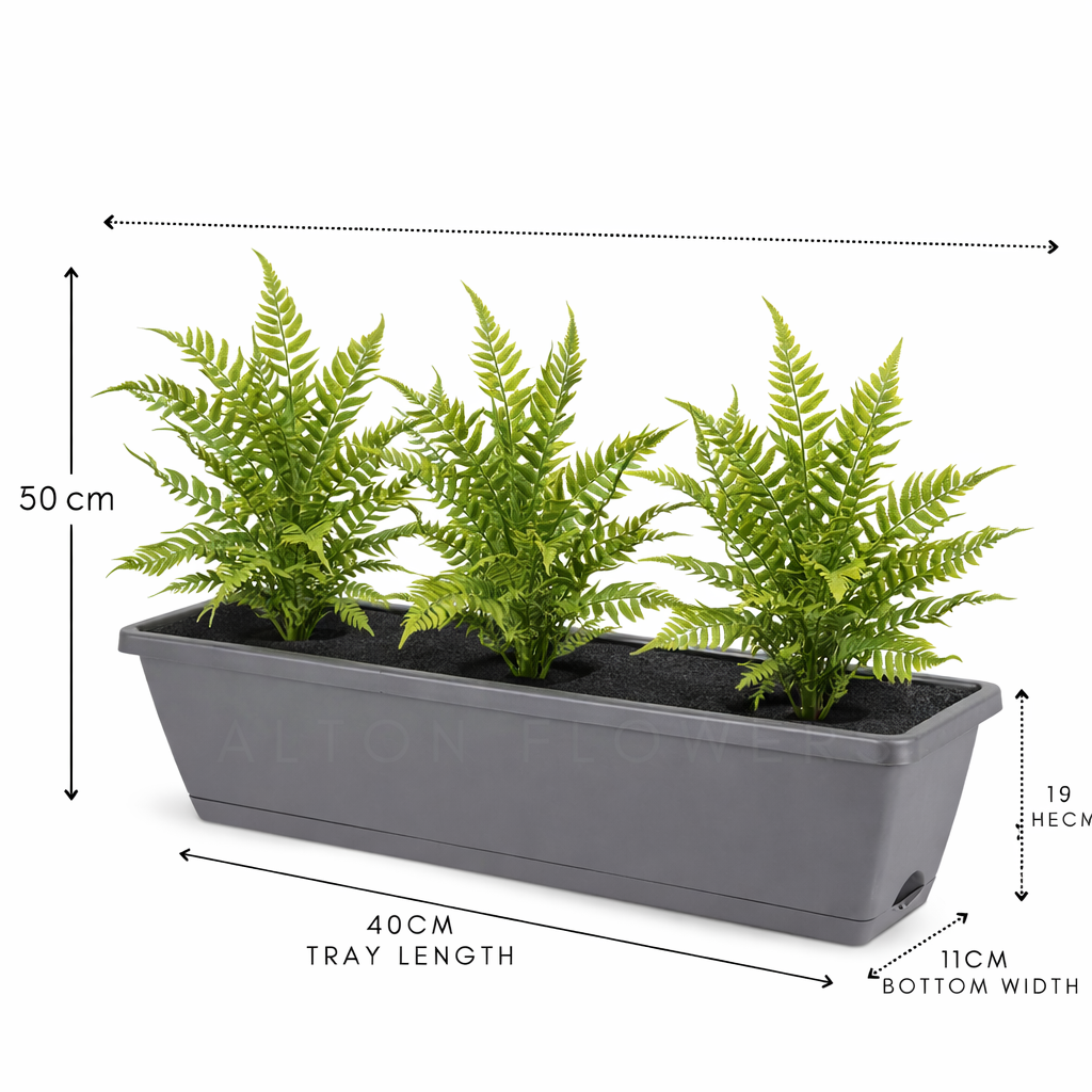 Artificial Raphis Palm plant, 30cm tall, in a plastic planter pot by Alton Flowers, ideal for indoor decor.