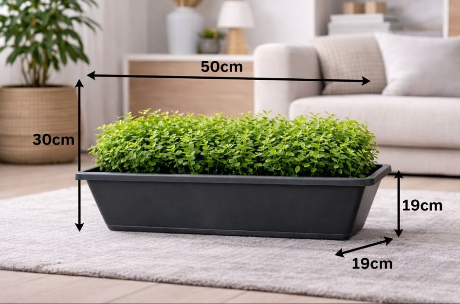 Artificial Raphis Palm plant in a plastic planter pot, 30cm tall, by Alton Flowers, perfect for home or office decor.