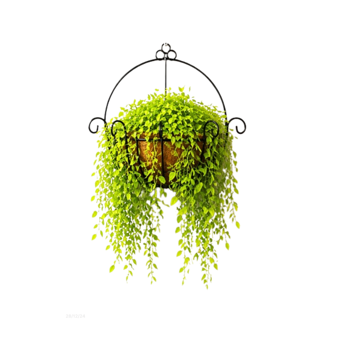 Artificial Wall Hanging Plant, Raindrop Succulent in a cocofiber pot Aplant1301-4