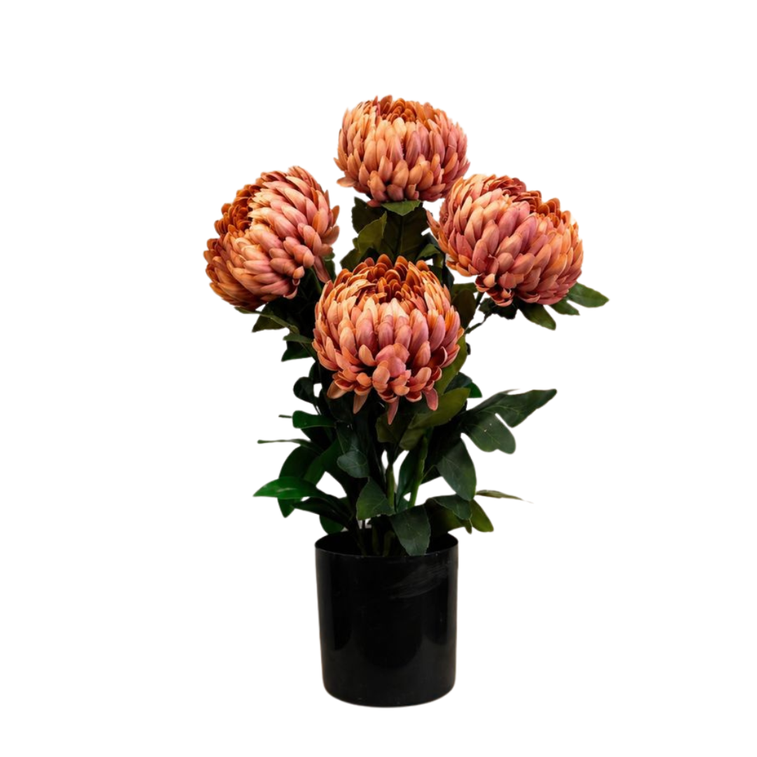 60cm Peach Bloom Arrangement Artificial in Black Pot