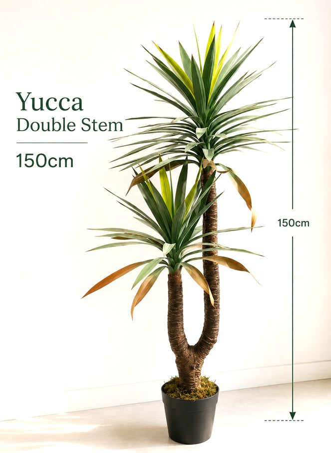 150cm Artificial Yucca Double Stem Tree