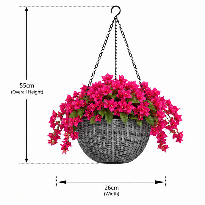 Elegant Hanging Bougainvillea in a double layered plastic pot
