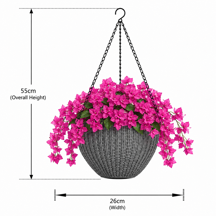 Elegant Hanging Bougainvillea in a double layered plastic pot