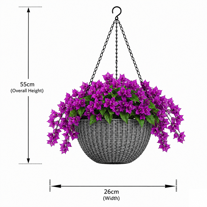 Elegant Hanging Bougainvillea in a double layered plastic pot