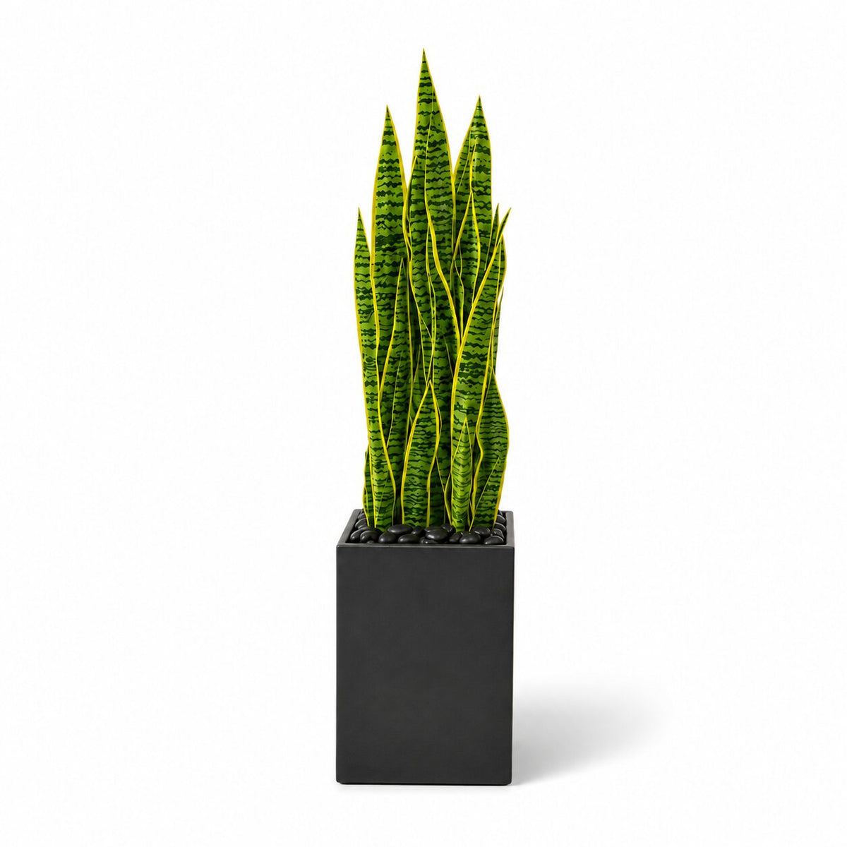 125cm Artificial Snake Plant Premium Yellow-Green