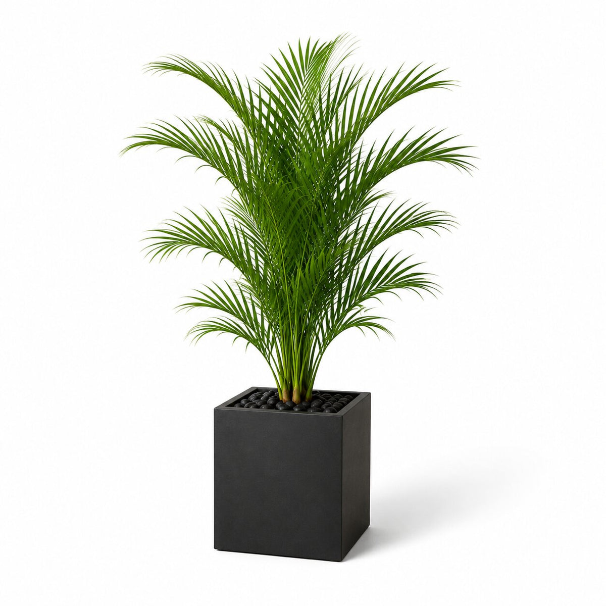 135cm Artificial Areca Palm Tree – Premium