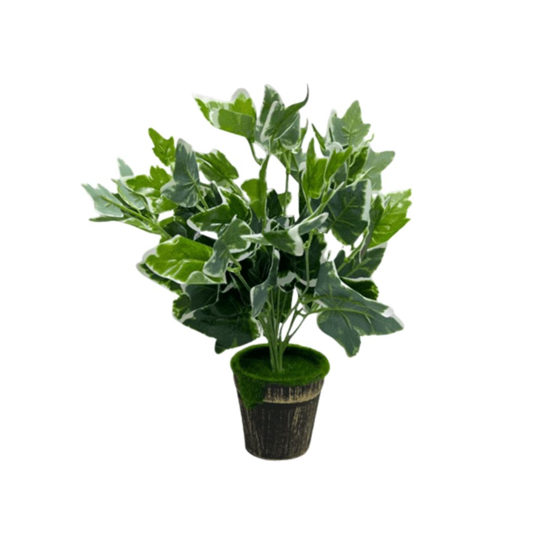 30cm Plant Ivy bush, home decor, garden Aplant168b