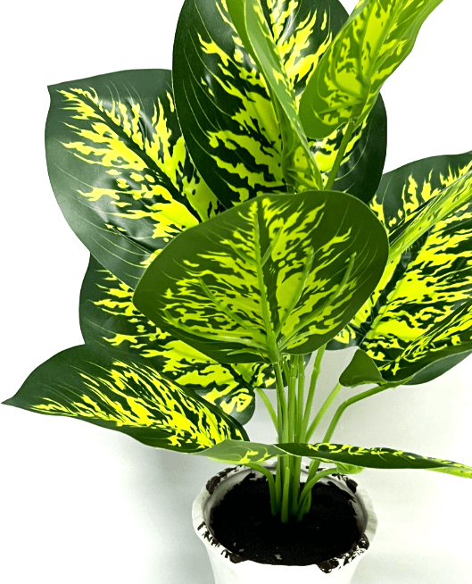 40cm Dieffenbachia Plant Artificial Aplant172