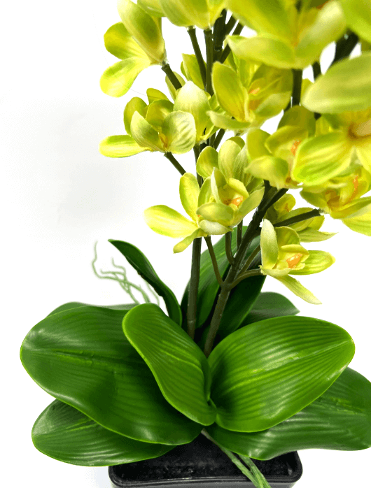 50cm Flower Arrangement Orchids in a wooden flower pot, home decor, events Aplant314