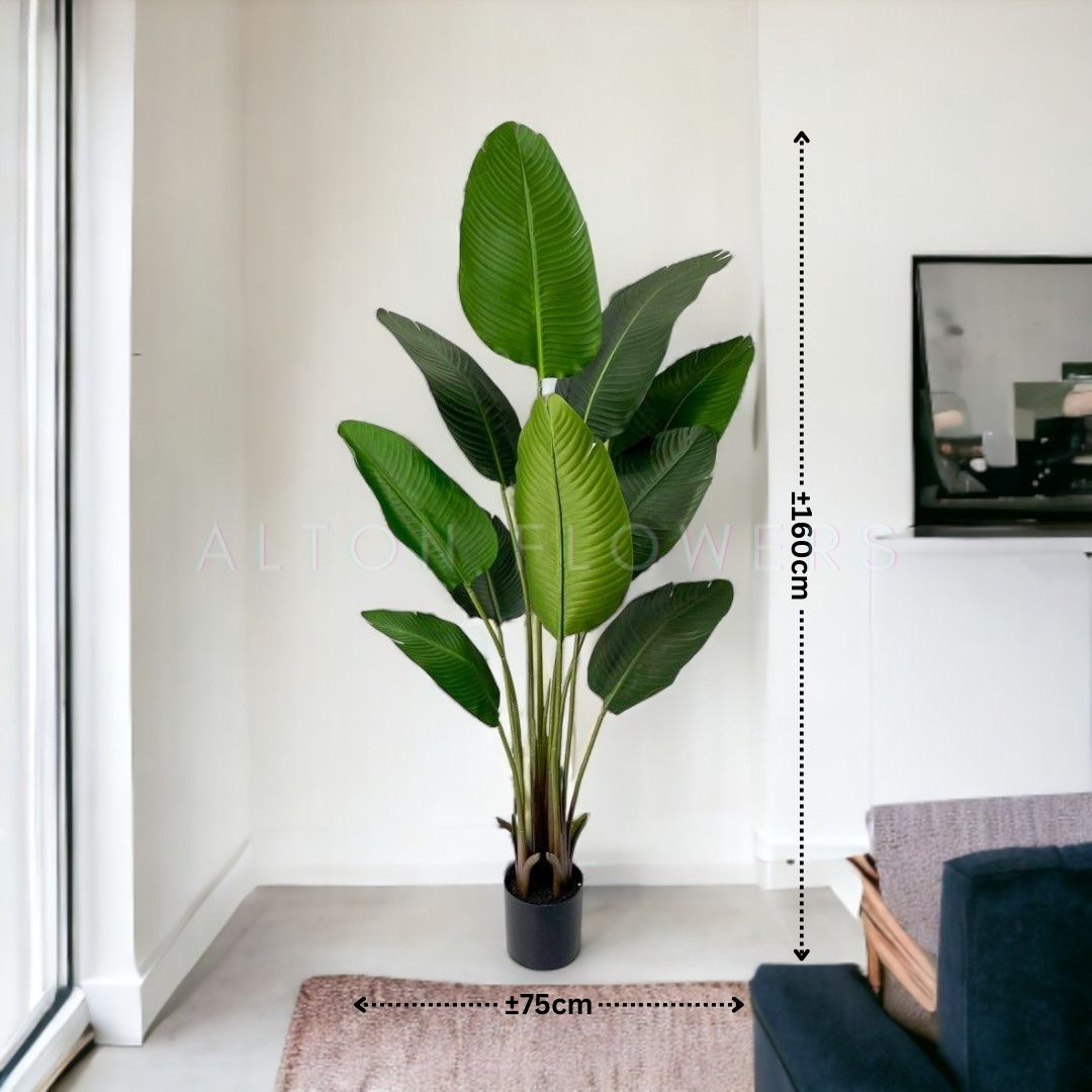 160cm Artificial Traveller Palm Tree 5 feet Plant Banana Artificial High quality,home decor,events Aplant317
