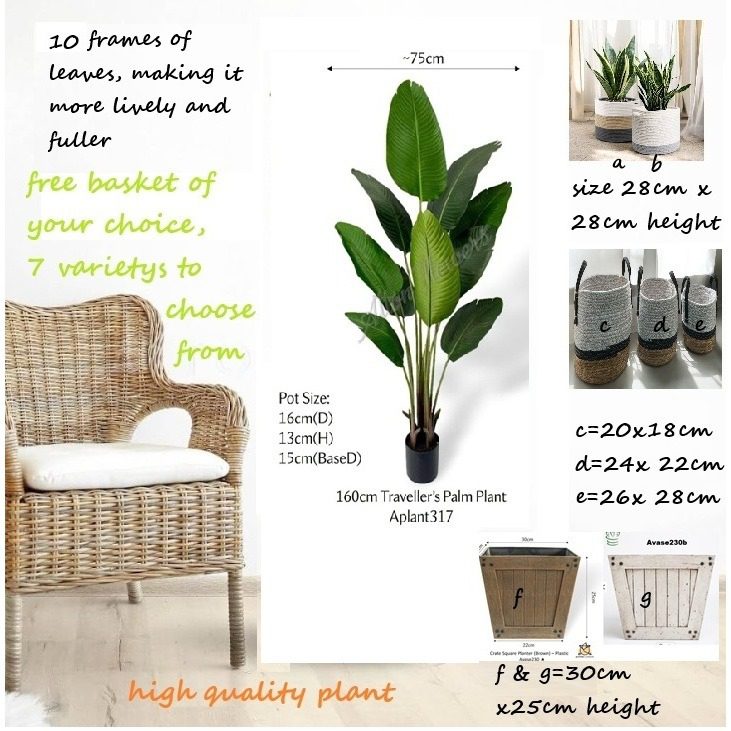 160cm Plant Banana Artificial High quality, home decor, events Aplant317