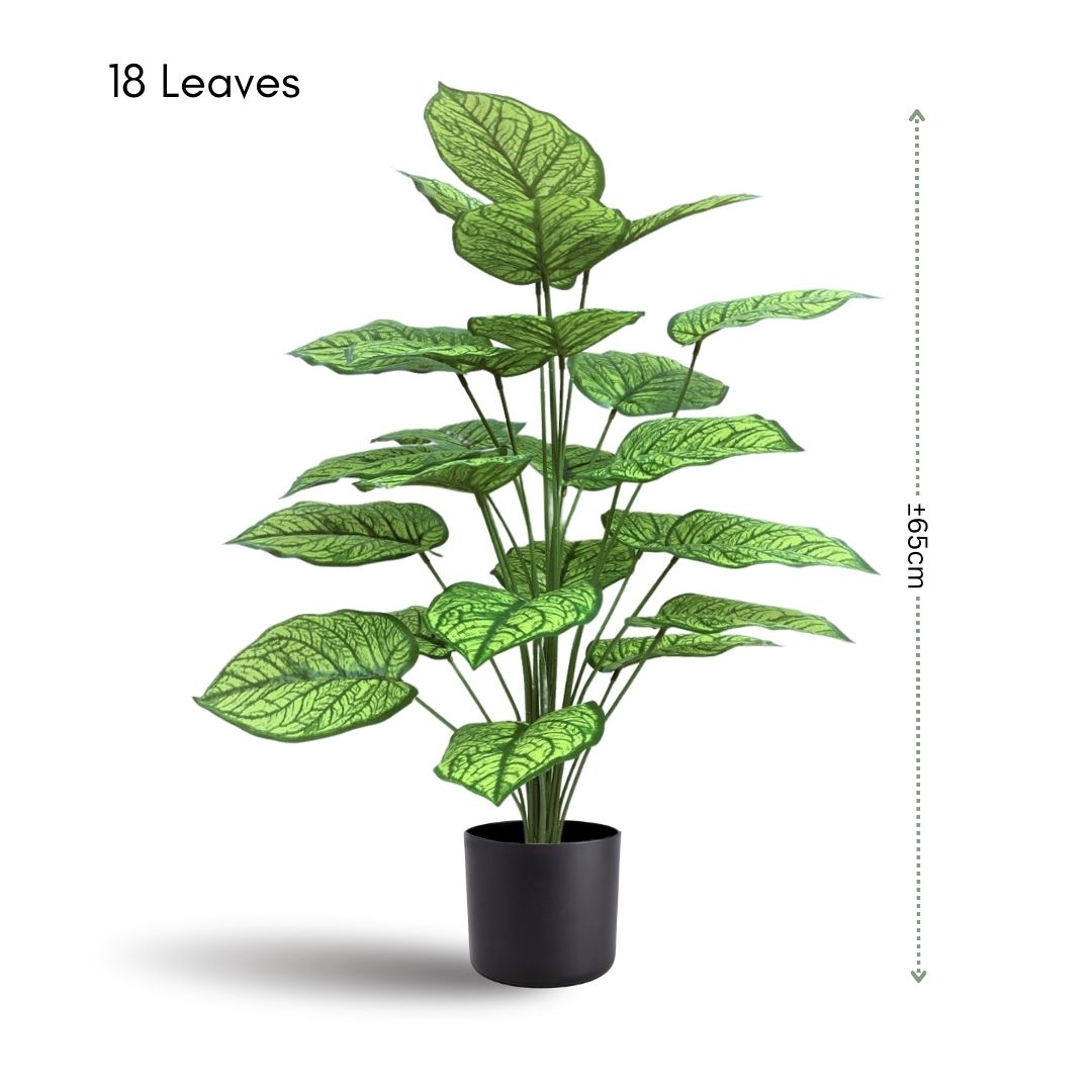 65cm Yellow Nerve (18 Leaves) Aplant423 - Alton Flowers