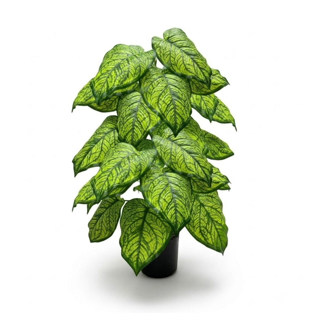 75cm artificial fittonia nerve plant with 24 pointed green leaves showing intricate lime yellow net veins in a black pot by Alton Flowers Singapore
