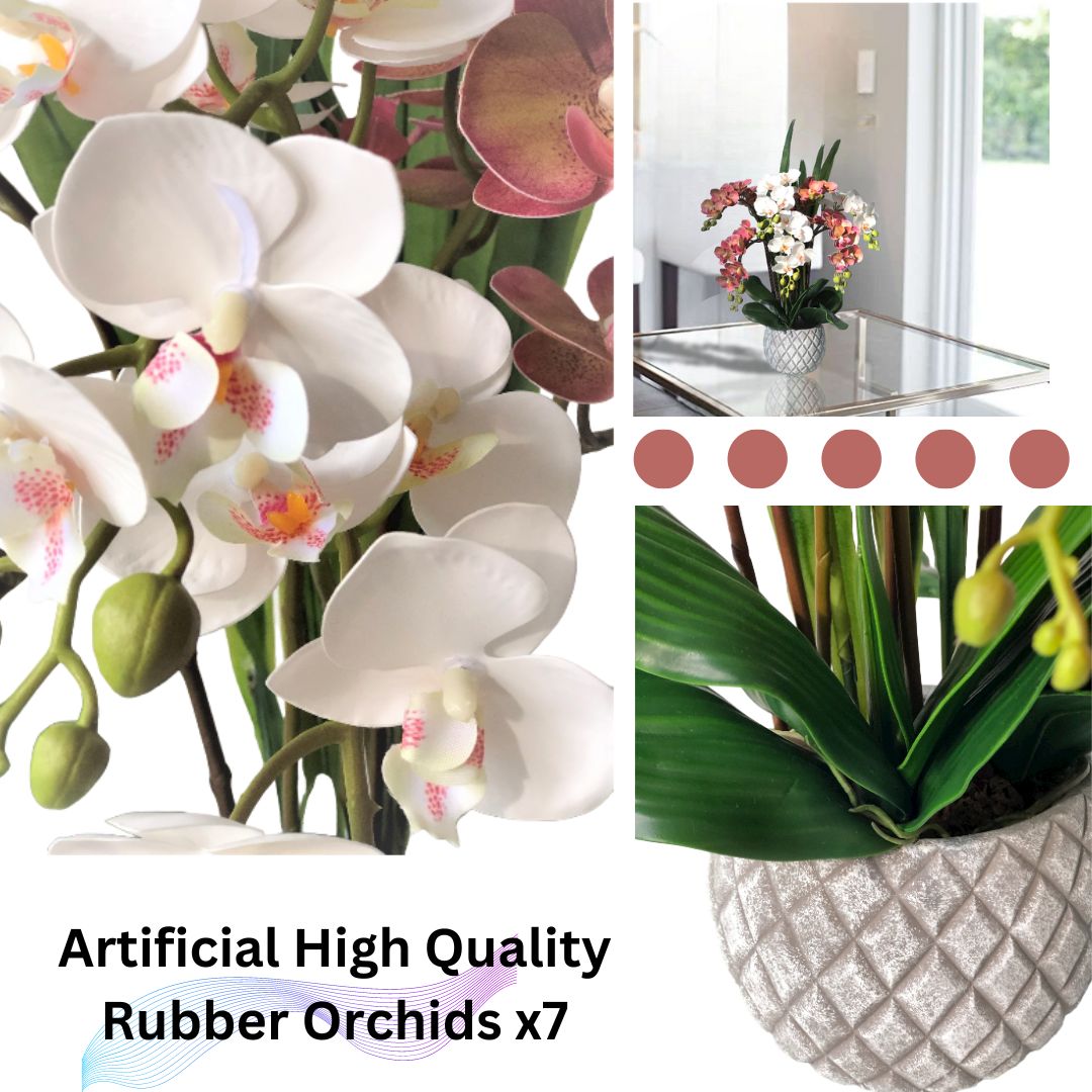 65cm Plant Orchids x7 pcs. High Quality in Ceramic Pot Aplant425