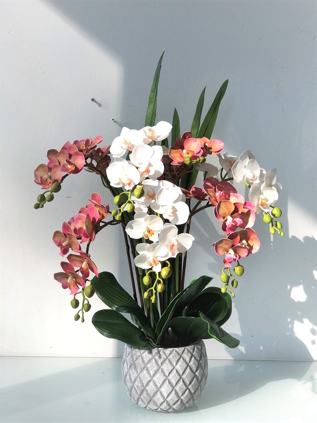 65cm Plant Orchids x7 pcs. High Quality in Ceramic Pot Aplant425