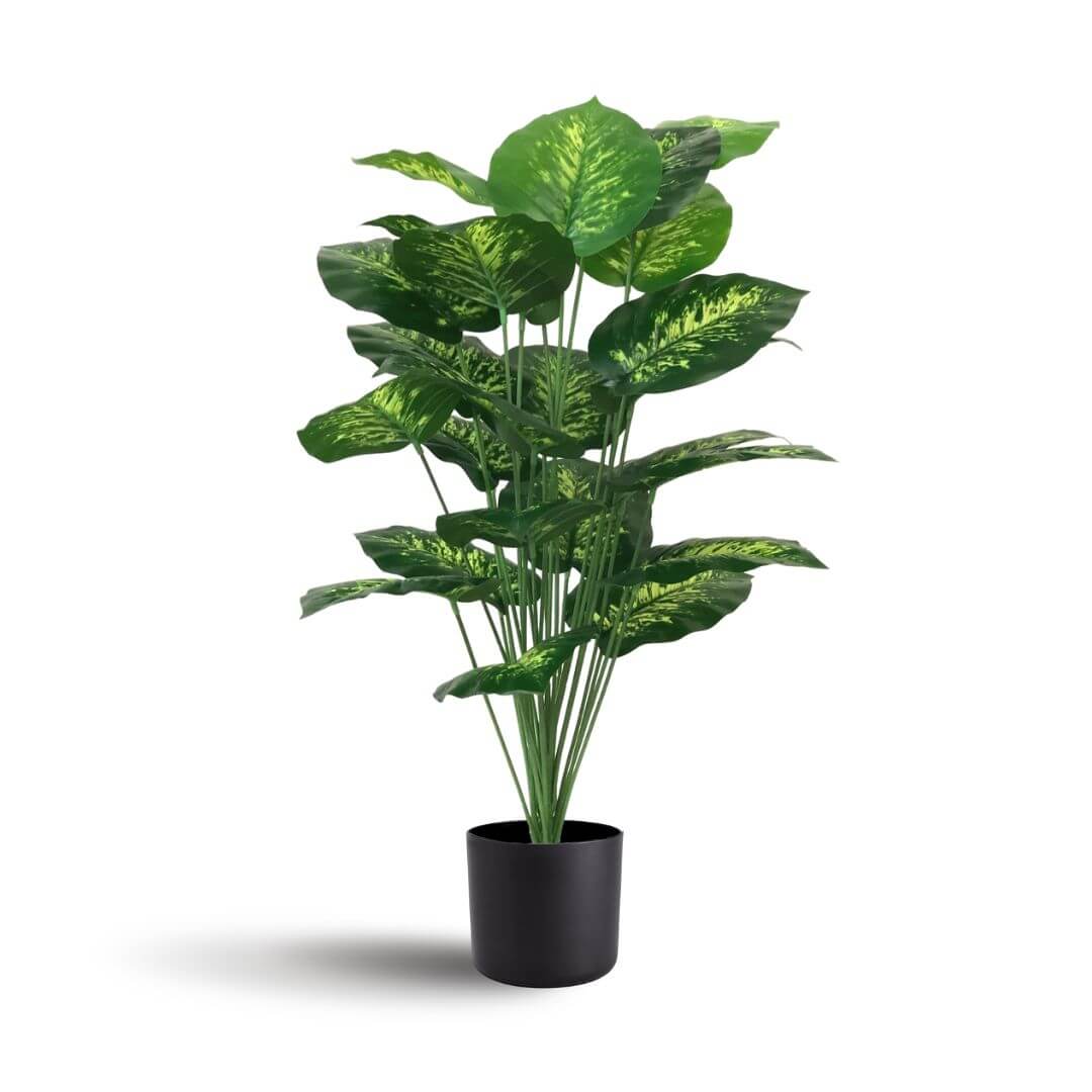 75cm Plant Artificial dieffenbachia x 24 leaves Aplant432a