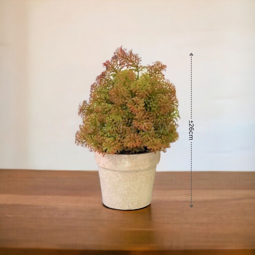 26cm Plant Artificial Cabomba Aplant448