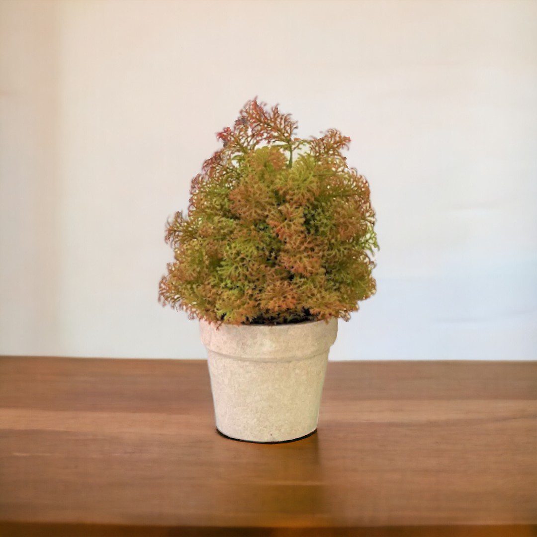 26cm Plant Artificial Cabomba Aplant448