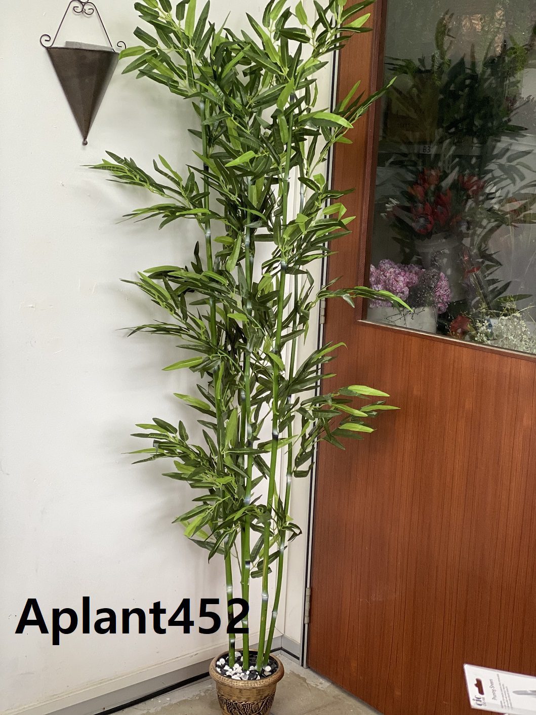 Aplant452a 2