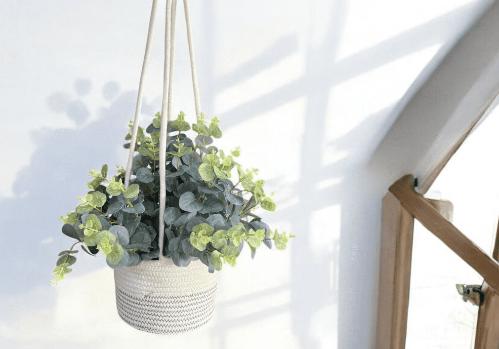 Eucalyptus Plants artificial arranged into a woven basket. Aplant468