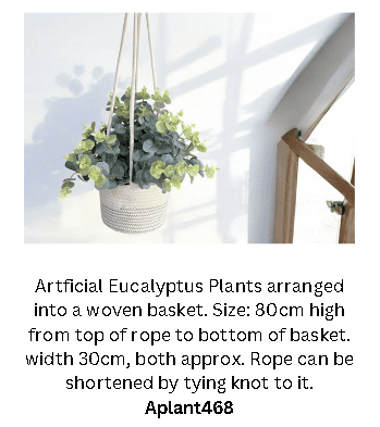 Eucalyptus Plants artificial arranged into a woven basket. Aplant468