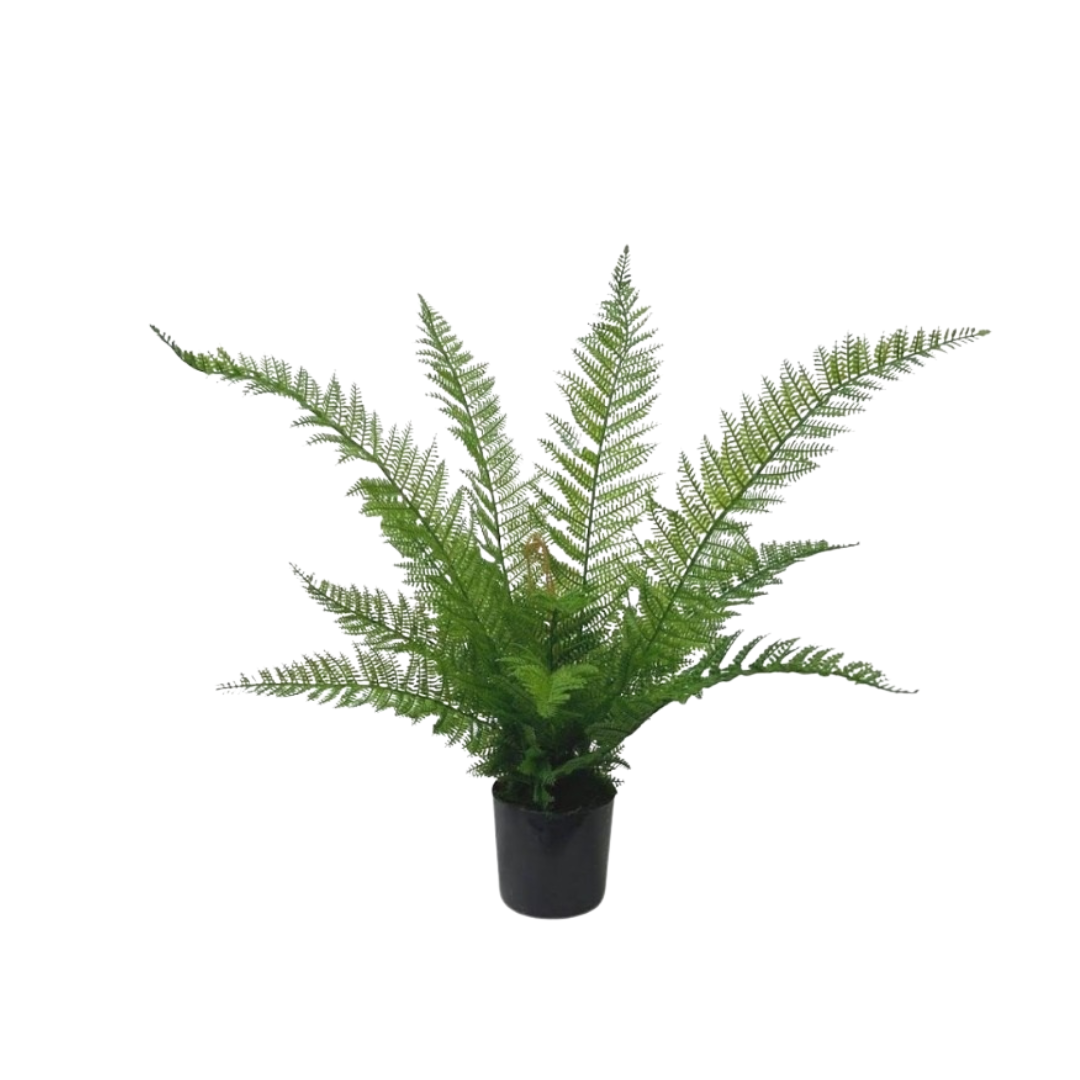 Faux green Boston fern in a black plastic pot for home decor