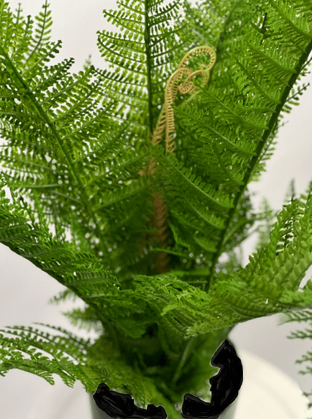 60cm Northern Lady Fern Artificial Aplant477