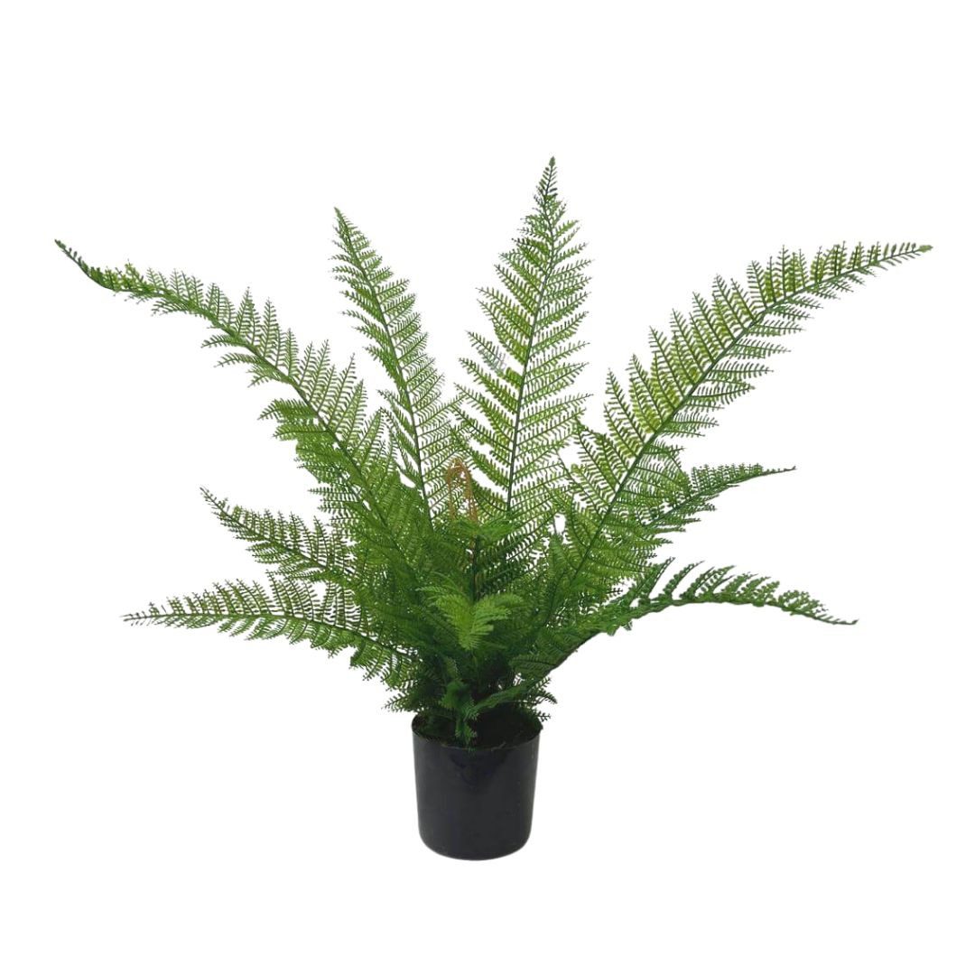 60cm Northern Lady Fern Artificial Aplant477