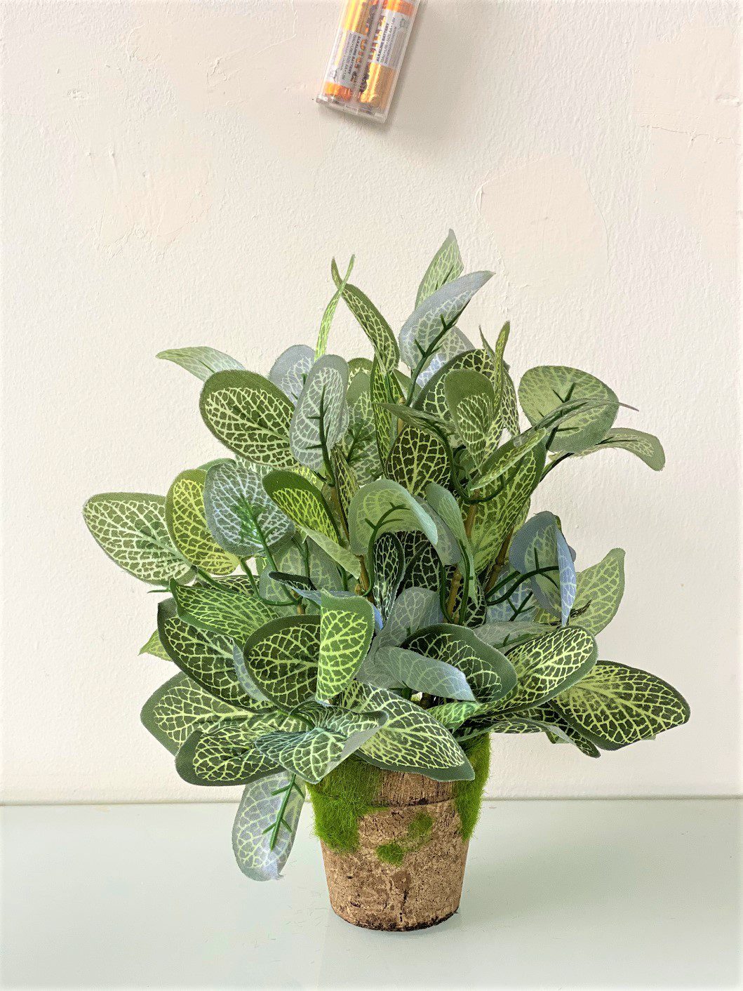 20cm Artificial Fittonia Plant (Nerve Plant) in a clay vase, home decor Aplant499