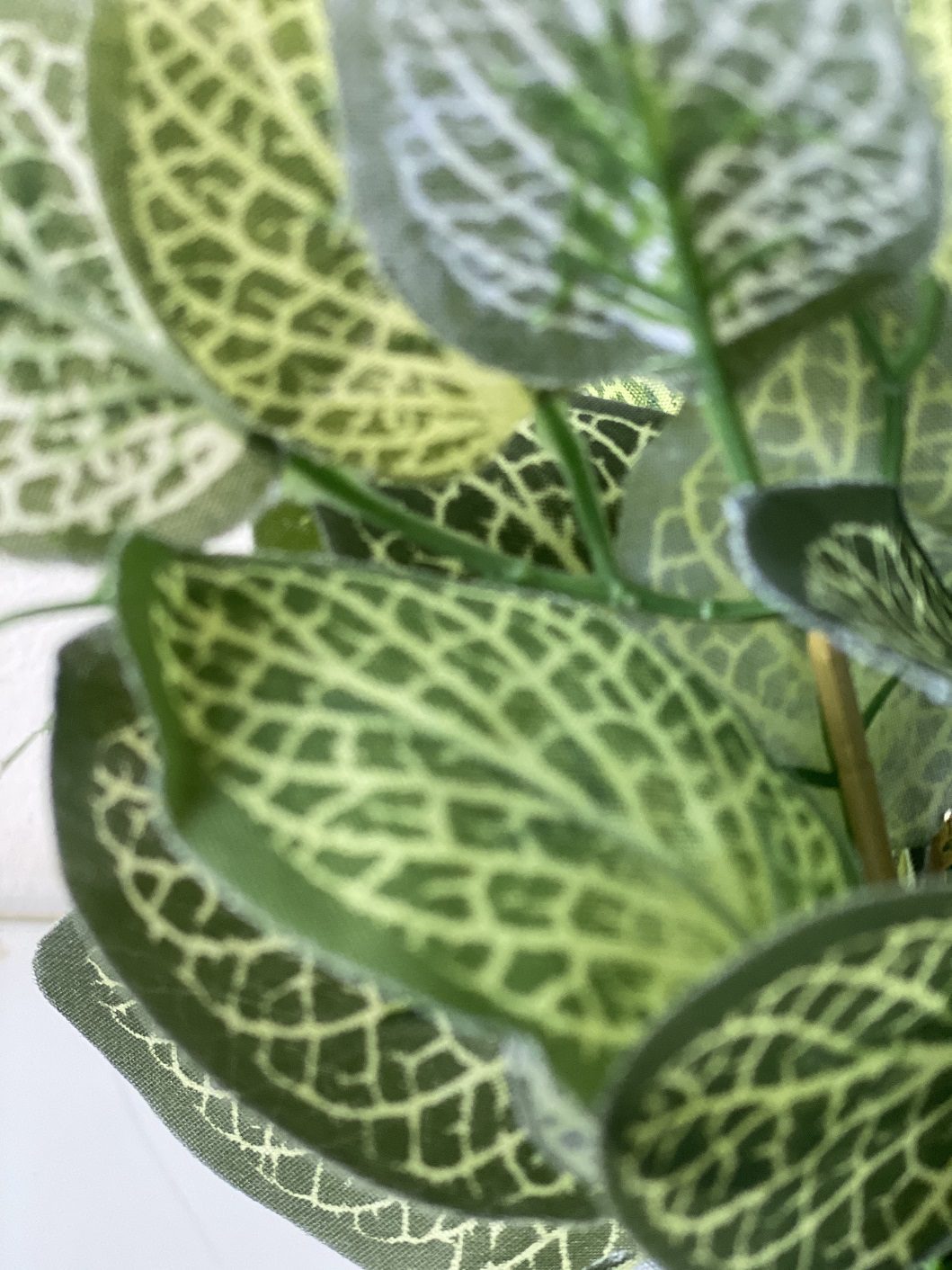 20cm Artificial Fittonia Plant (Nerve Plant) in a clay vase, home decor Aplant499