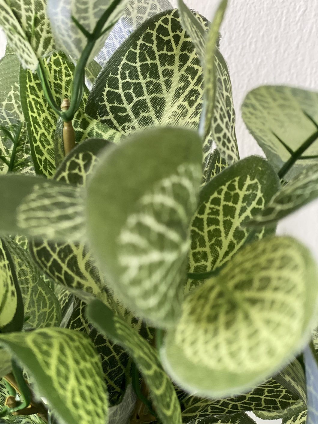 20cm Artificial Fittonia Plant (Nerve Plant) in a clay vase, home decor Aplant499