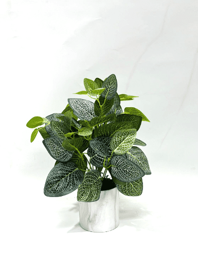 20cm Artificial Fittonia Plant (Nerve Plant) in a clay vase, home decor Aplant499