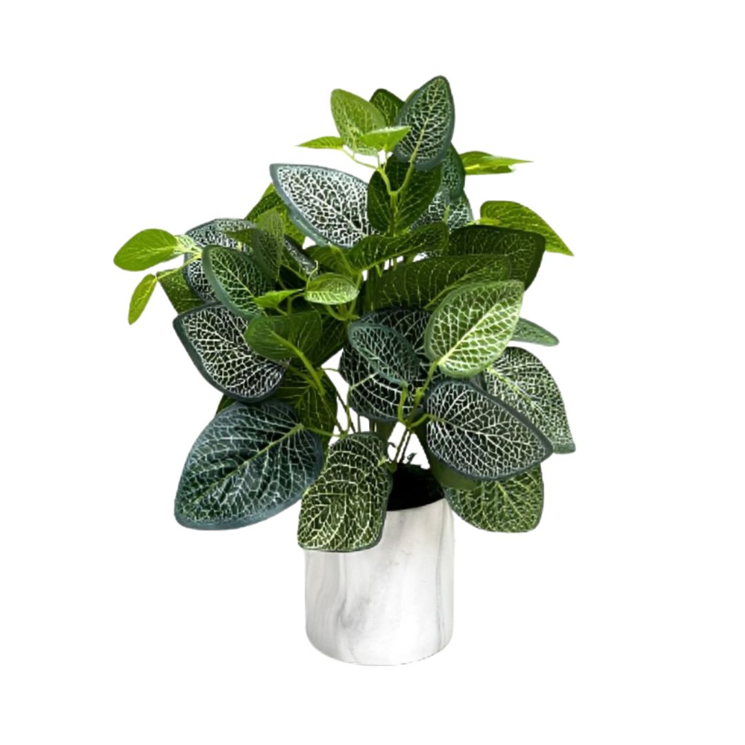 20cm Artificial Fittonia Plant (Nerve Plant) in a clay vase, home decor Aplant499