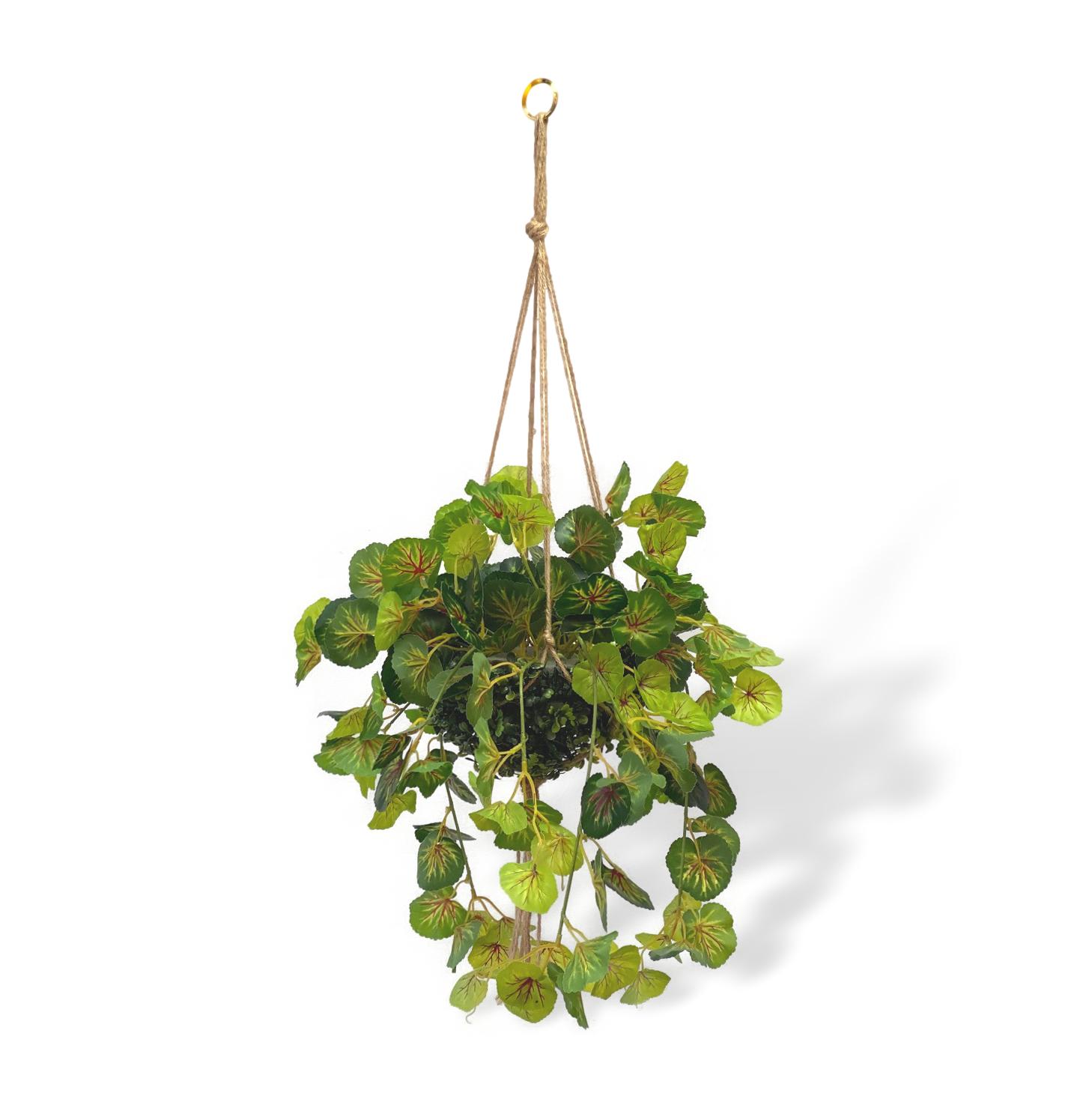 Aplant555 2 clipped rev 2