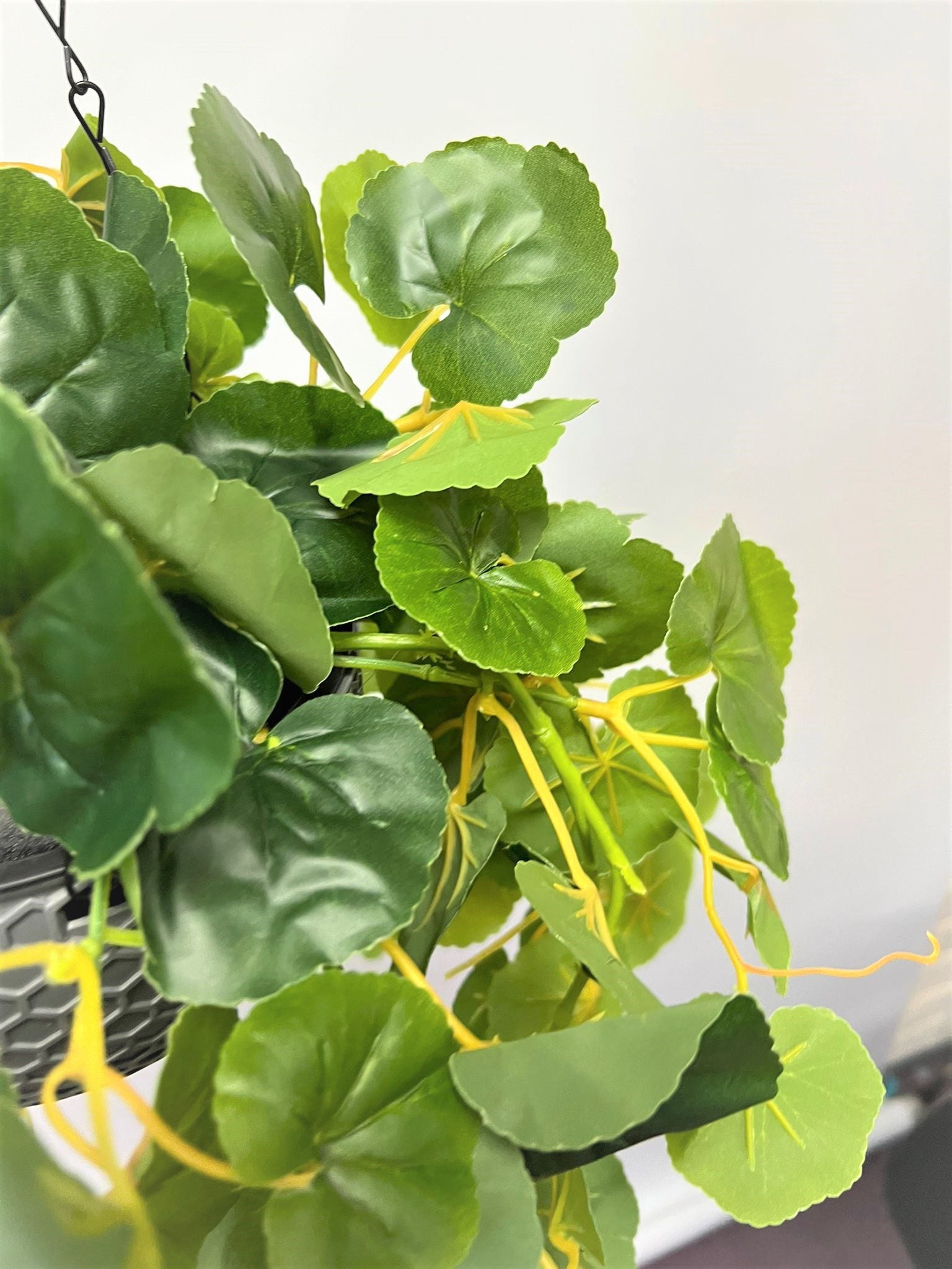 Plant hanging Green Ivy Bush in Plastic container artificial Aplant565