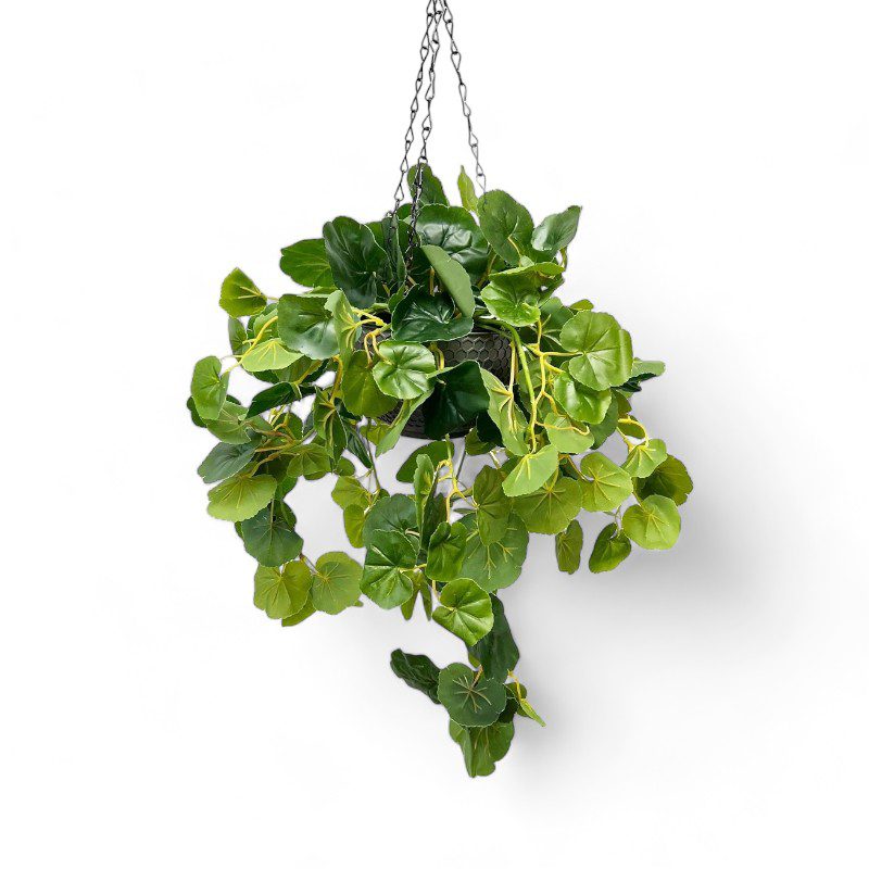 Plant hanging Green Ivy Bush in Plastic container artificial Aplant565