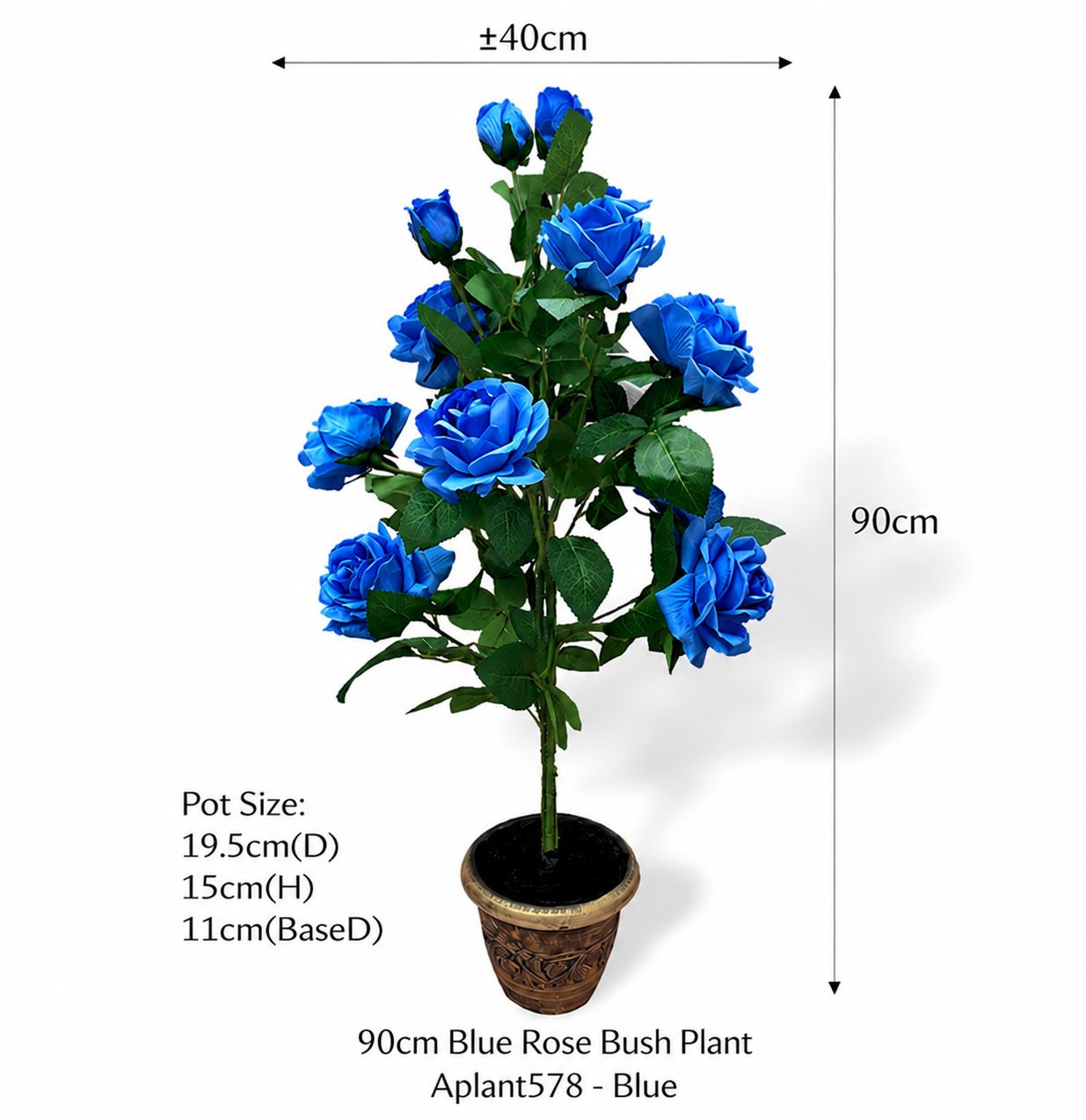 Blue velvet rose bush plant in a pot, 90cm tall, by Alton Flowers, showcasing lush velvety foliage and vibrant blue blooms.