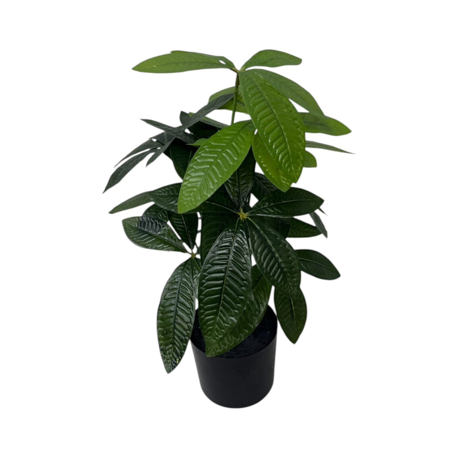 Artificial Pachira aquatica, also known as a money tree or fortune plant, featuring glossy green leaves arranged on multiple stems in a black pot. This faux plant is a popular choice for home or office decor as it requires no maintenance like watering or sunlight.